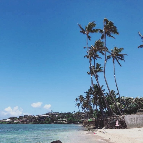 Meet your Posher, Kaiden - Picture 1 of 1